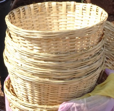 bamboo basket